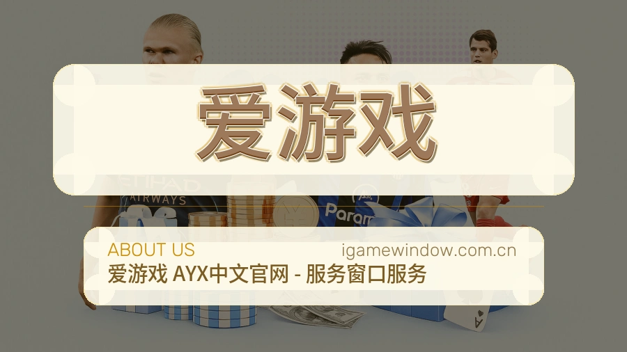 爱游戏便捷访问服务说明